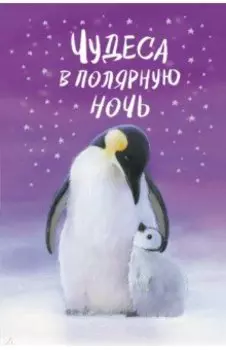 Чудеса в полярную ночь