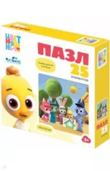 Цветняшки. Пазл-25 Концерт