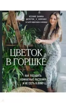 Цветок в горшке. Как посадить комнатные растения и не сесть в лужу