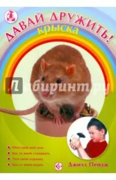 Давай дружить! Крыска