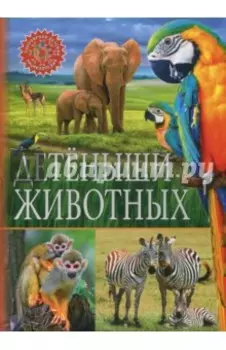 Детёныши животных