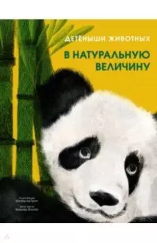 Детёныши животных в натуральную величину