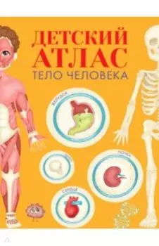 Детский атлас. Тело человека