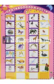 Детский плакат Противоположности