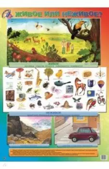 Детский плакат. Живое или неживое