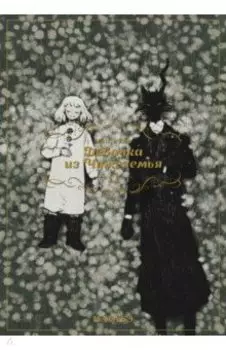 Девочка из Чужеземья. Том 11