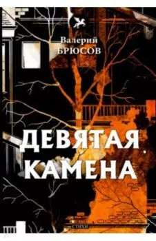 Девятая камена