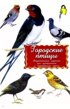 Дидактические карточки Городские птицы