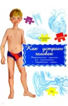 Дидактические карточки Как устроен человек?