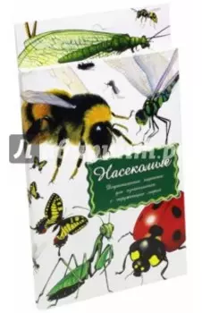 Дидактические карточки "Насекомые"