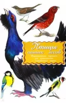 Дидактические карточки Птицы наших лесов