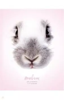 Дневник для 1-11 классов Зайчик мой, 48 листов