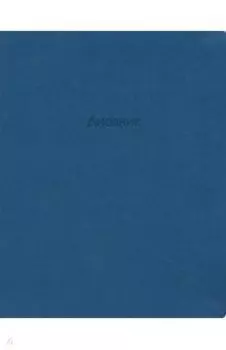 Дневник школьный для старших классов Block, Синий, 48 листов