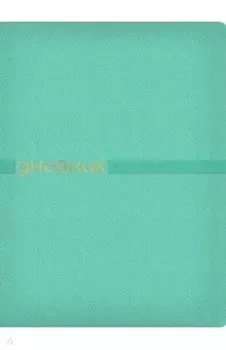 Дневник школьный Joy, 48 листов, зефирный мятный