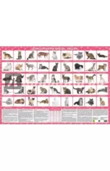 Домашние питомцы. Кошки. Настольное издание