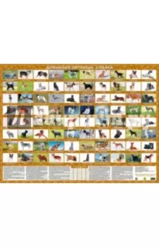 Домашние питомцы. Собаки. Настольное издание