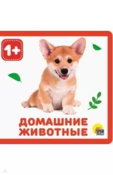 Домашние животные