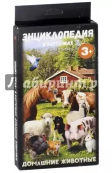 Домашние животные