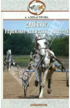 Драйвинг. Упряжные испытания лошадей