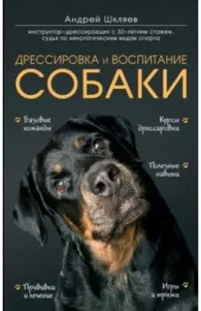 Дрессировка и воспитание собаки