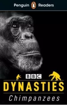 Dynasties. Chimpanzees. Level 3