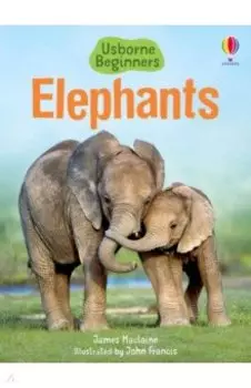 Elephants
