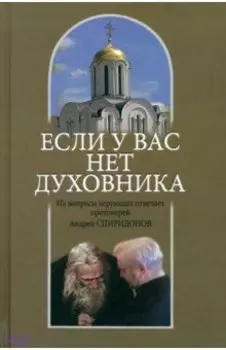 Если у вас нет духовника. На вопросы верующих отвечает протоиерей Андрей Спиридонов
