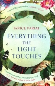 Everything the Light Touches