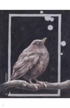 Евротетрадь Птица, А5+, 96 листов, линия