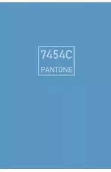 Евротетрадь Синяя река, А5+, 96 листов, линия