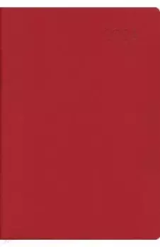 Ежедневник датированный на 2024 год Paragraph. Красный, 176 листов, А5