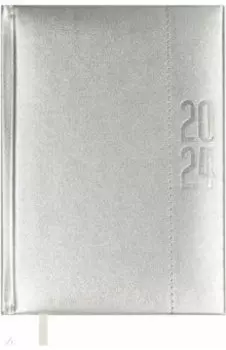 Ежедневник датированный на 2024 год Плонже металлик, серебряный, А6+, 176 листов
