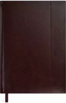 Ежедневник датированный на 2024 год Сариф-эконом, коричневый, А6+, 176 листов