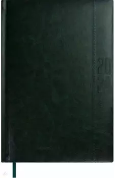 Ежедневник датированный на 2024 год Сариф-эконом, зеленый, А5, 176 листов