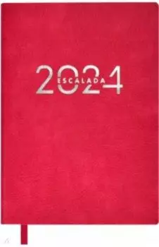 Ежедневник датированный на 2024 год Шеврет экстра, малиновый, А6+, 120 листов