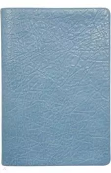 Ежедневник недатированный, 96 листов, А5, Turtle, голубой