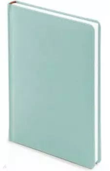 Ежедневник недатированный А5+ "VELVET, ЗЕФИРНО-МЯТНЫЙ" (3-115/36)