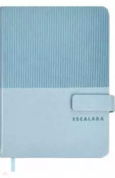 Ежедневник недатированный Гоутскин, голубой, А6+, 120 листов