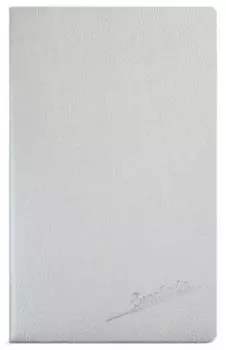 Ежедневник недатированный "Наппа" (А5, 96 листов, стальной, синие страницы) (47469)