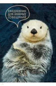 Ежедневник недатированный Серьезный ежедневник, А5, 128 листов