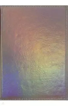 Ежедневник недатированный "ШЕВРО" СТАЛЬНОЙ ГОЛОГРАФИЧЕСКИЙ (47642)