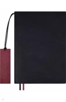 Ежедневник недатированный Шеврет, черный, А5+, 160 листов