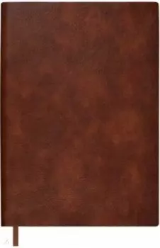 Ежедневник недатированный Шеврет, коричневый, А5, 120 листов