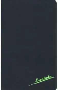 Ежедневник недатированный "Софт-тач" (А5, 96 листов, черный с неоново-зеленым) (47470)