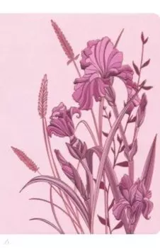 Ежедневник недатированный "Виннер розовый" (120 листов, А6+) (50270)