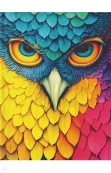 Ежедневник недатированный Яркая птица, 128 листов, А6