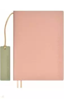 Ежедневник учителя недатированный Шеврет розовый, 160 листов, А5+