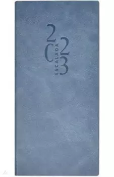 Еженедельник датированный 2023 Бакстер. Голубой, 64 листа