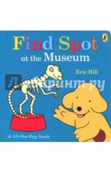 Find Spot at the Museum