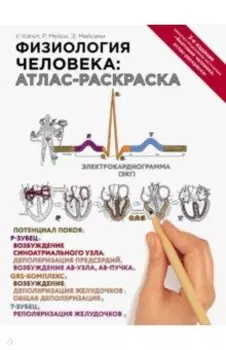 Физиология человека. Атлас-раскраска